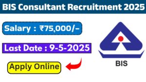 BIS Consultant Recruitment 2025