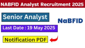 NABFID Analyst Recruitment 2025